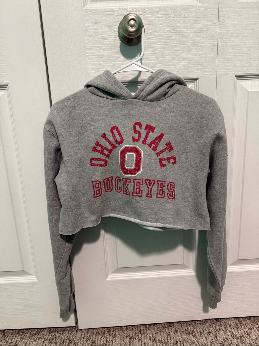 OVB Ohio State Buckeyes Cropped Hoodie – Gray – Fits Size S